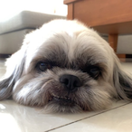 AoMlEe's Avatar'