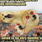 SovietDogo21's Avatar'