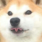 LASTresorts07's Avatar'