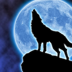 ThatWolf03's Avatar'