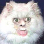 NortFite's Avatar'