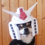 JakeMyDoge's Avatar'