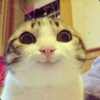 Dowmie1467's Avatar'