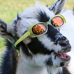 ItzVaru's Avatar'