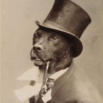 TushAppreciator's Avatar'