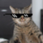 tekannan's Avatar'