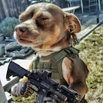 itzyaboideep's Avatar'