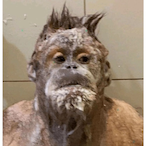 tachankasclih's Avatar'