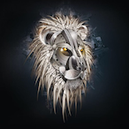 Aura_Gemini's Avatar'