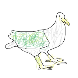 Pigeon673413390