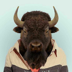AngeryBison's Avatar'