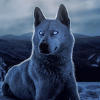 AMOOSOLGI's Avatar'