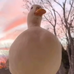 VenomusRelic's Avatar'