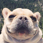 BigGoose_ZHAI's Avatar'