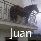 Kecel_'s Avatar'