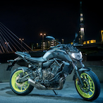 VinoViniVichi's Avatar'