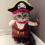 calamdes's Avatar'