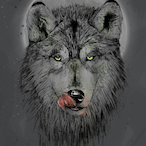 centurion265's Avatar'