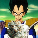 Vegeta.420's Avatar'