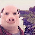 idortman's Avatar'