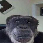 AllTimeDrip's Avatar'