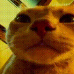 lolkander's Avatar'