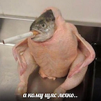 Banana__Slayer's Avatar'