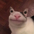 Kvbnoa's Avatar'