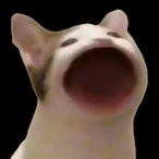 Say_ahhh's Avatar'