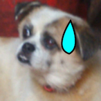 Roku Riderr's Avatar'