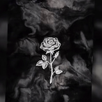 AltoSquid979062's Avatar'