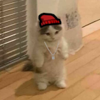 FileteEmpanao's Avatar'