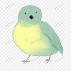BB_bird_XuXu's Avatar'