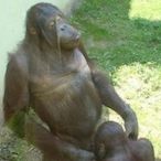 SgtDumpster's Avatar'