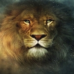 Lion01011's Avatar'