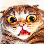 Manshooo's Avatar'