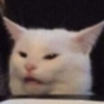 Minty-Penguin's Avatar'
