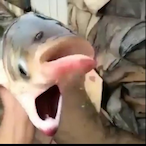 ScrotummTotemm's Avatar'