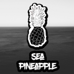 seapineapplee's Avatar'
