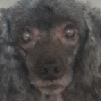 JoppiUzumaki's Avatar'