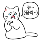 New_Cat's Avatar'