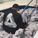 Asleep1997's Avatar'