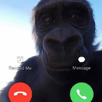 Cabral22cm's Avatar'