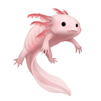 Axeloted's Avatar'
