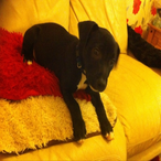 PROject_XZY's Avatar'