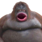 XD.CaptainCum's Avatar'
