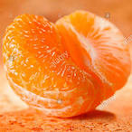 ChimmyRobbo's Avatar'