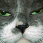 O182439190's Avatar'