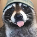 JACKED_RANCH's Avatar'