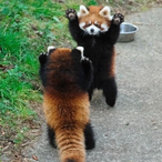 UncsOnFrag's Avatar'